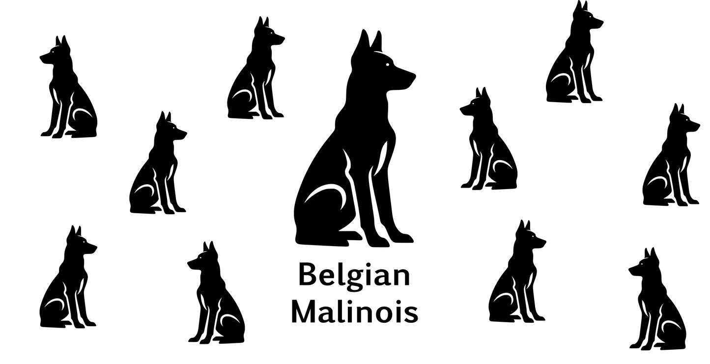 Belgian Malinois 16oz Decal