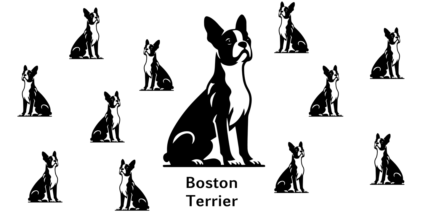 Boston Terrier 16oz Decal