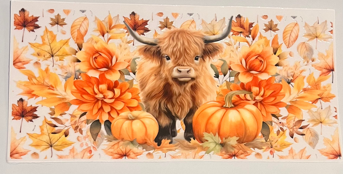 Highland Cow Pumpkin 2