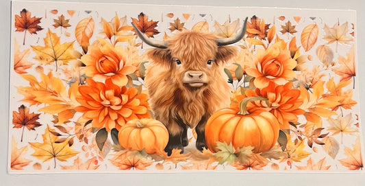 Highland Cow Pumpkin 2