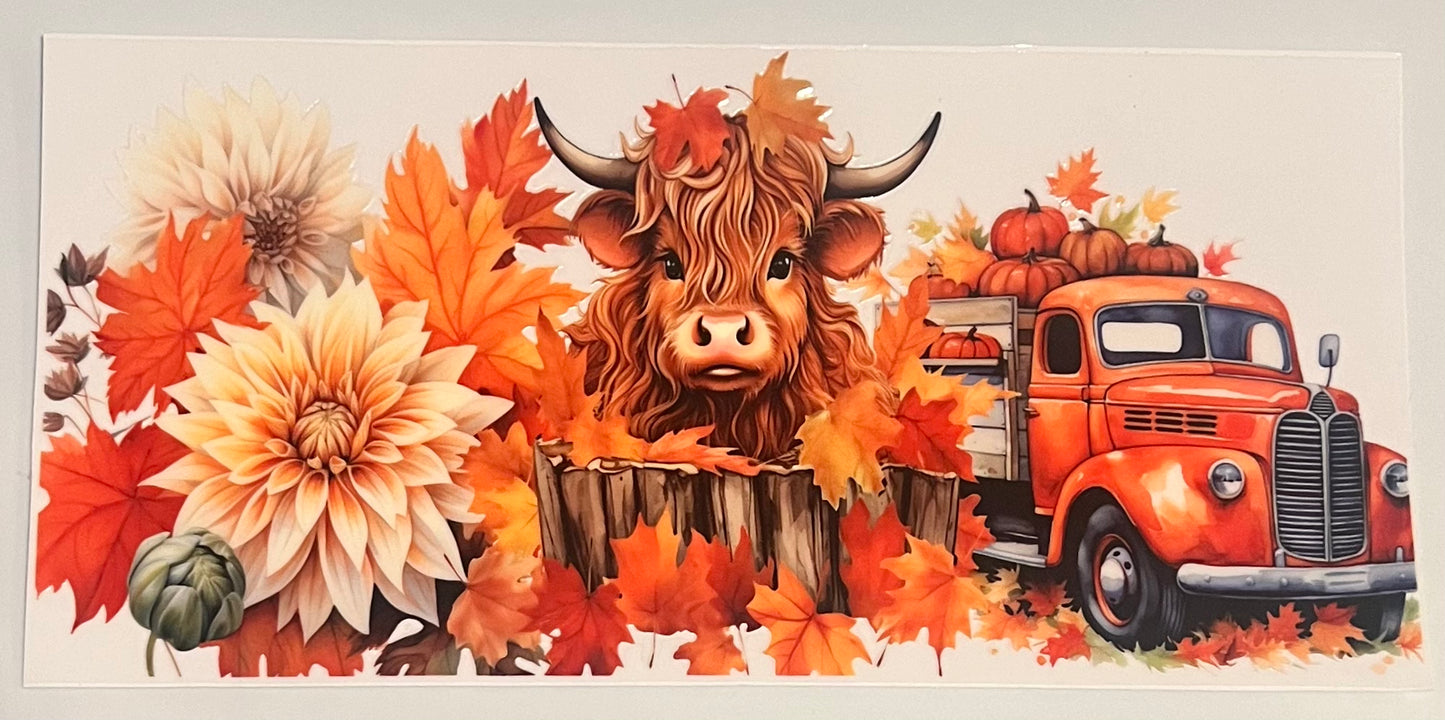 Highland Cow Fall